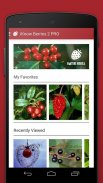 Wild Berries and Herbs 2 LITE screenshot 9