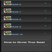 how to grow mustard greens screenshot 5