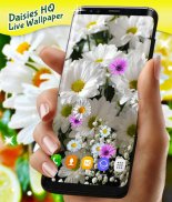 3D Daisy Spring Live Wallpaper screenshot 6