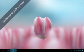 3D Tulip Live Wallpaper screenshot 4