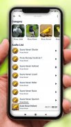 1000 Kicau Burung Lengkap screenshot 4