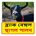 ছাগল পালন (ব্ল্যাক বেঙ্গল) ~ Goat Farming Icon