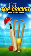 Top Cricket Ball Slope Game screenshot 6