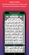 Panj Surah -  Names of Allah, screenshot 7