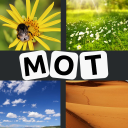 4 Images 1 Mot 2023 Icon