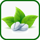 Medicinal herbs and plants Icon
