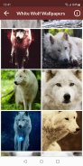 White (Polar) Wolf Wallpapers screenshot 3