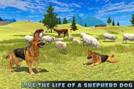 Real Shepherd Dog Simulator screenshot 0