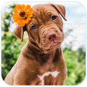 Dogs & puppies jigsaw puzzles Icon