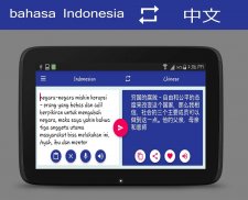 Penerjemah Cina Indonesia screenshot 7