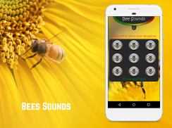 Bee Sounds Free screenshot 2