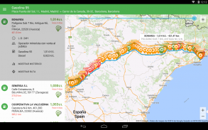 Gasolina y Diesel España screenshot 9
