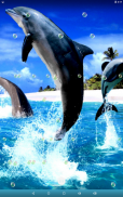 Dolphin Live Wallpaper screenshot 7