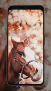 Horse Wallpapers screenshot 2