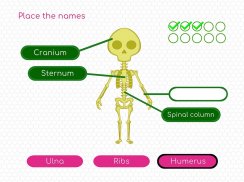 BodyQuest: Anatomy for kids screenshot 5