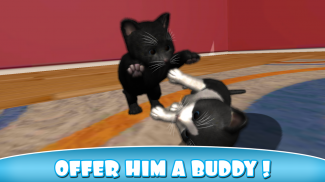 Daily Kitten : gato virtual screenshot 4