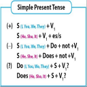 Simple Present Tenses