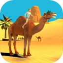 Camel Simulator Icon