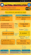 Bacteria Identification Made Easy | Free & Offline screenshot 5