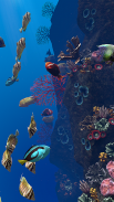 Ocean Aquarium screenshot 19