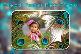 Peacock Feather Photo Frames screenshot 5