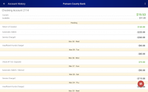 Putnam County Bank screenshot 1