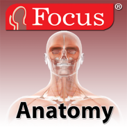 Anatomy Atlas-Junior screenshot 0