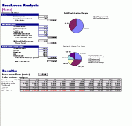 Income Statement Templates screenshot 18