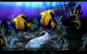 My 3D Fish II screenshot 4