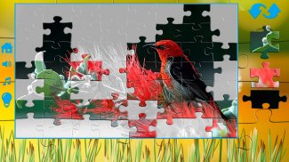 Puzzles for adults the nature screenshot 4