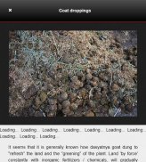 Compost Making Process Complete screenshot 7