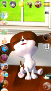 Falando Dog Cat & Background screenshot 4