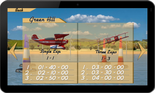 空中特技飞行员3D飞机游戏 screenshot 4