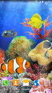 Coral Fish Live Wallpaper screenshot 2