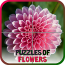 Puzzles of Flowers Free Icon