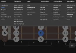 Guitar Scales & Patterns  *NO ADS* screenshot 10