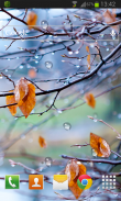 Autumn Raindrops Live HD screenshot 1