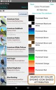 iBird Lite Free Guide to Birds screenshot 23