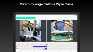 Wyze - Make Your Home Smarter screenshot 10