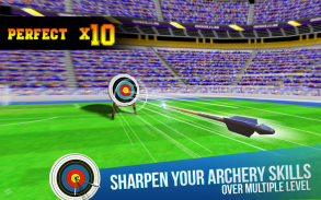 Archery King 3D screenshot 2