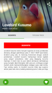 Kicau Master Lovebird Juara screenshot 2