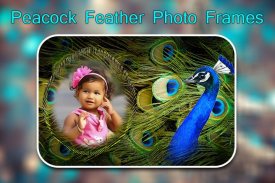 Peacock Feather Photo Frames screenshot 0