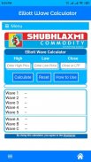 Elliott Wave Calculator screenshot 1