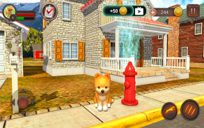 Pomeranian Dog Simulator screenshot 5