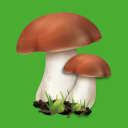 Edible mushroom Icon