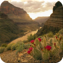 Grand Canyon Wallpapers