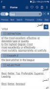 قاموس عربي انجليزي ثقيل screenshot 14