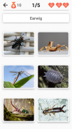 Animals -Quiz about Mammals! screenshot 1