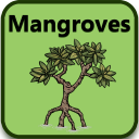 Mangroves - Identification Kit