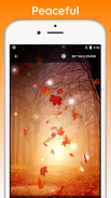 Autumn Live Wallpaper screenshot 2